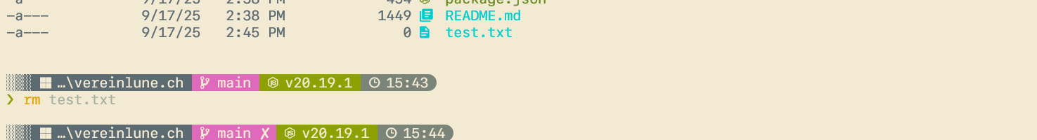 screenshot of terminal